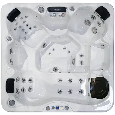 Avalon EC-849L hot tubs for sale in Eastorange